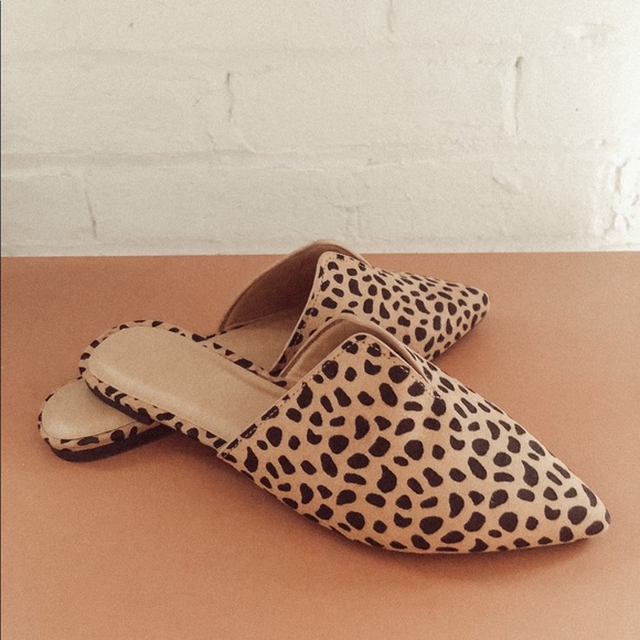 Cheetah Slides - Picture 2 of 2